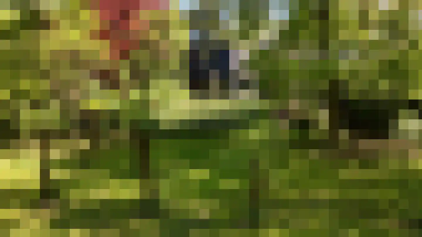 Waaldijk 46 Dreumel thumbnail 60