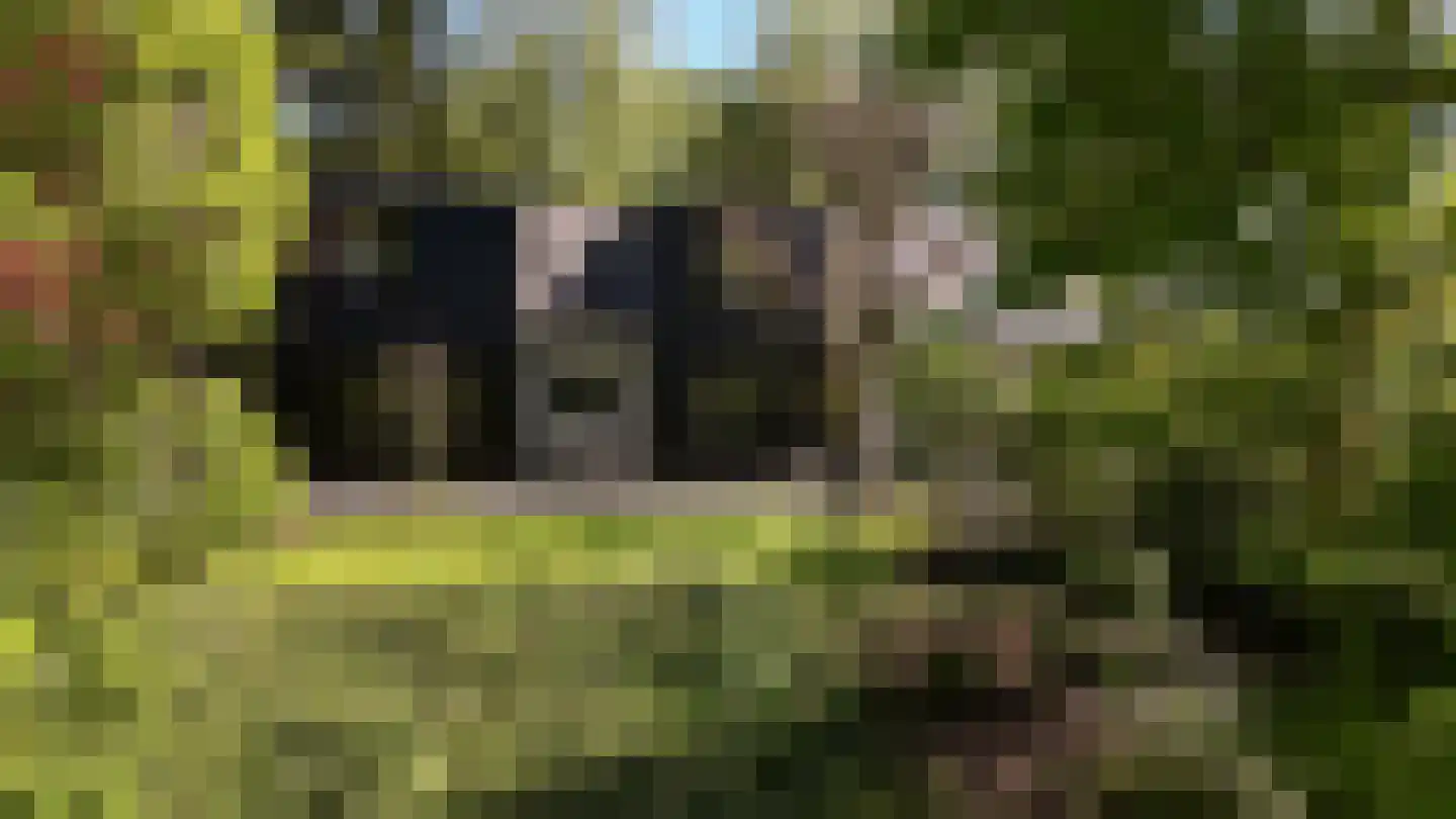 Waaldijk 46 Dreumel thumbnail 61