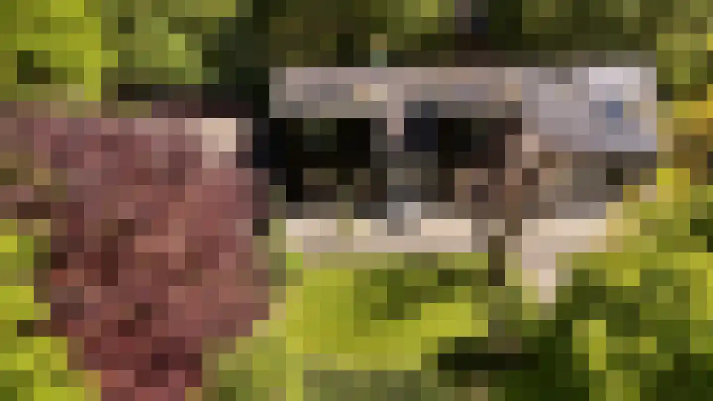 Waaldijk 46 Dreumel thumbnail 64