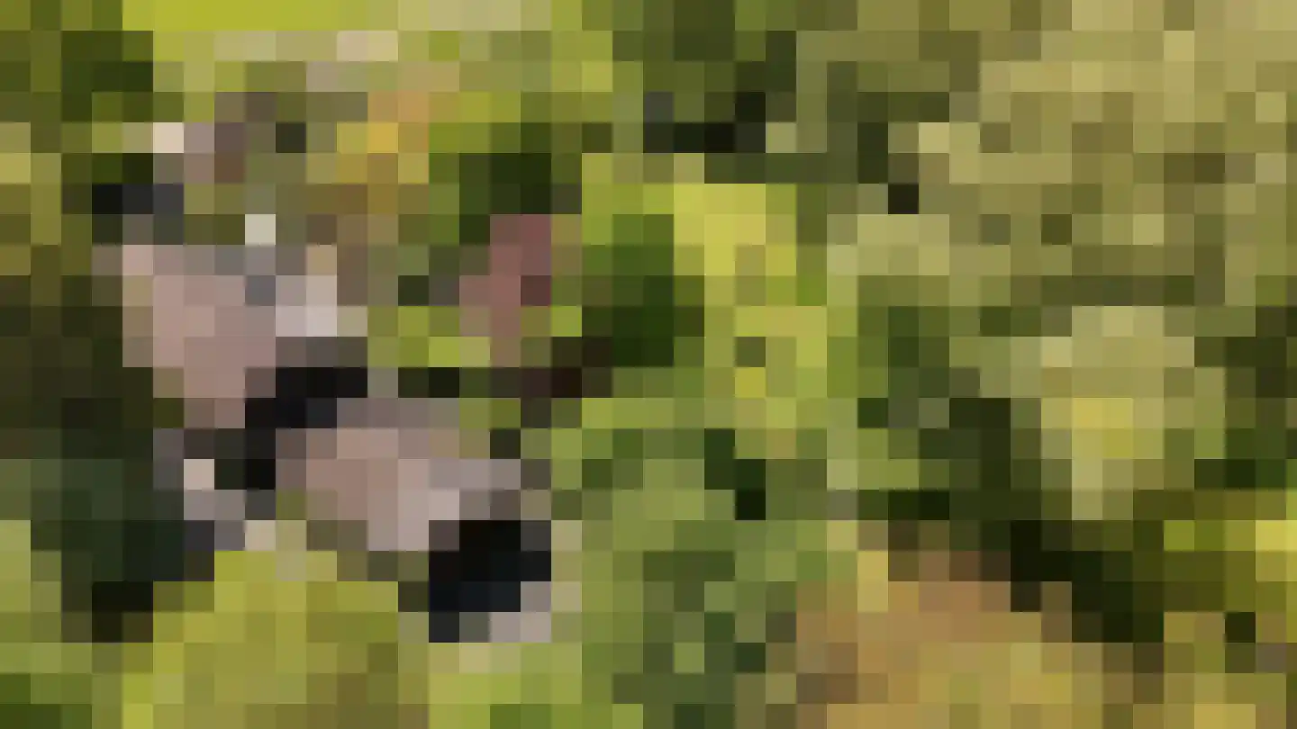 Waaldijk 46 Dreumel thumbnail 66