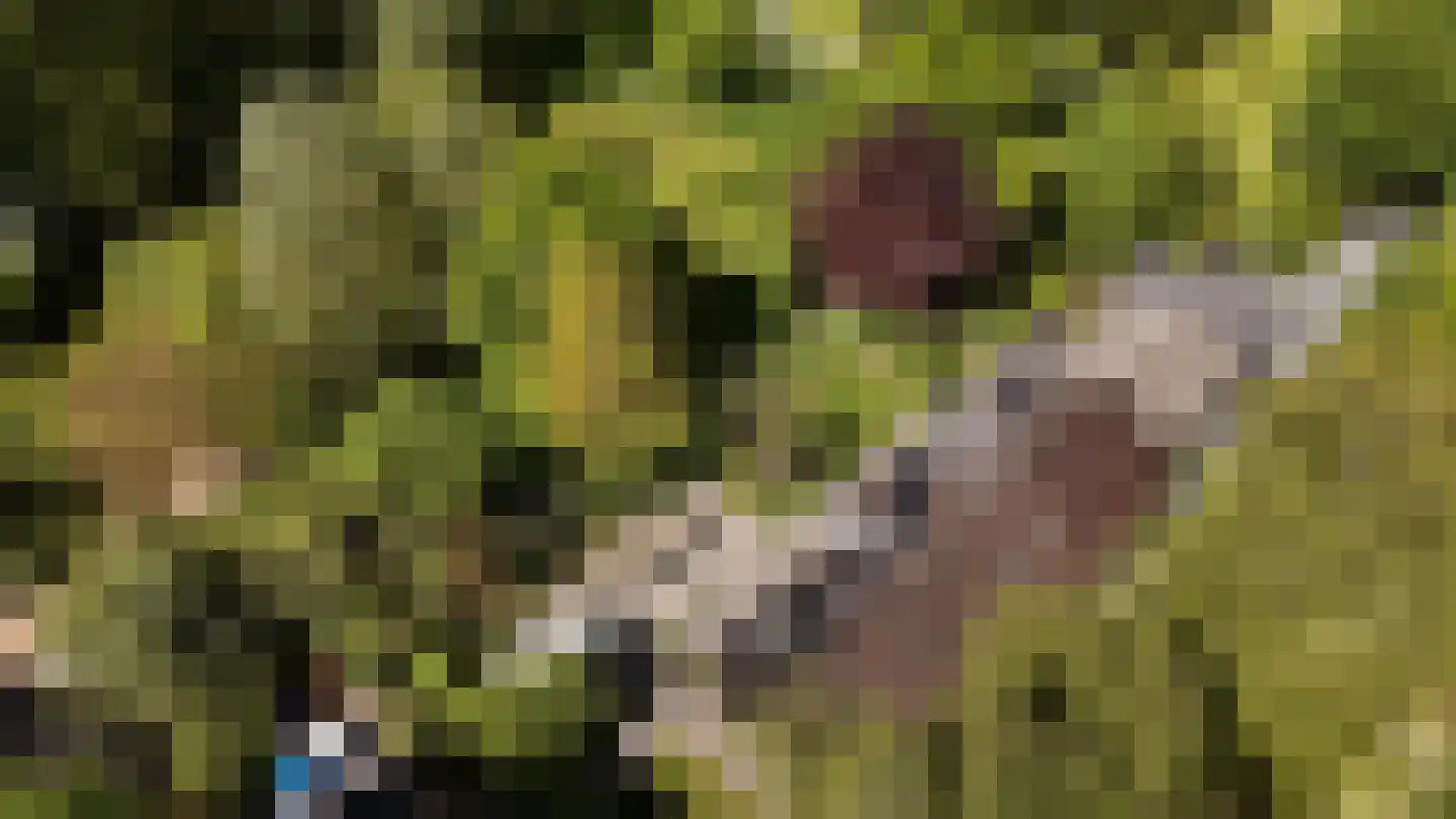 Waaldijk 46 Dreumel thumbnail 67