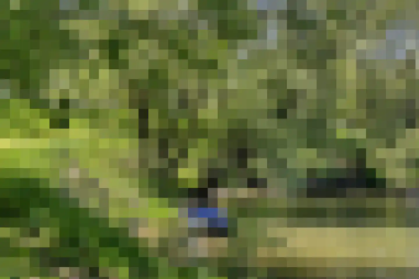 Waaldijk 46 Dreumel thumbnail 68