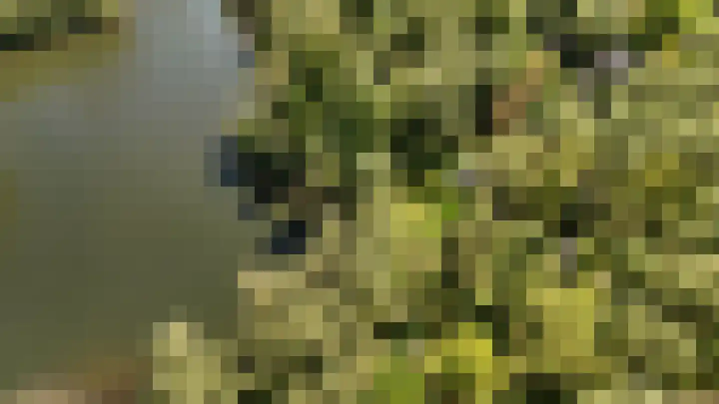Waaldijk 46 Dreumel thumbnail 69