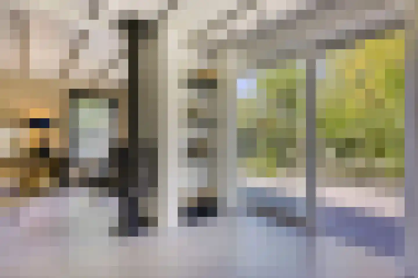Waaldijk 46 Dreumel thumbnail 7