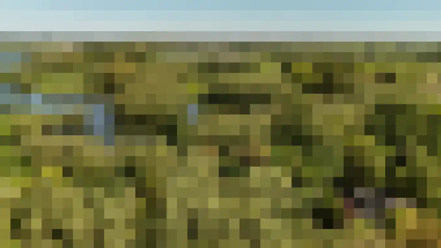 Waaldijk 46 Dreumel thumbnail 70