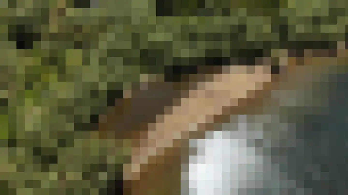 Waaldijk 46 Dreumel thumbnail 73