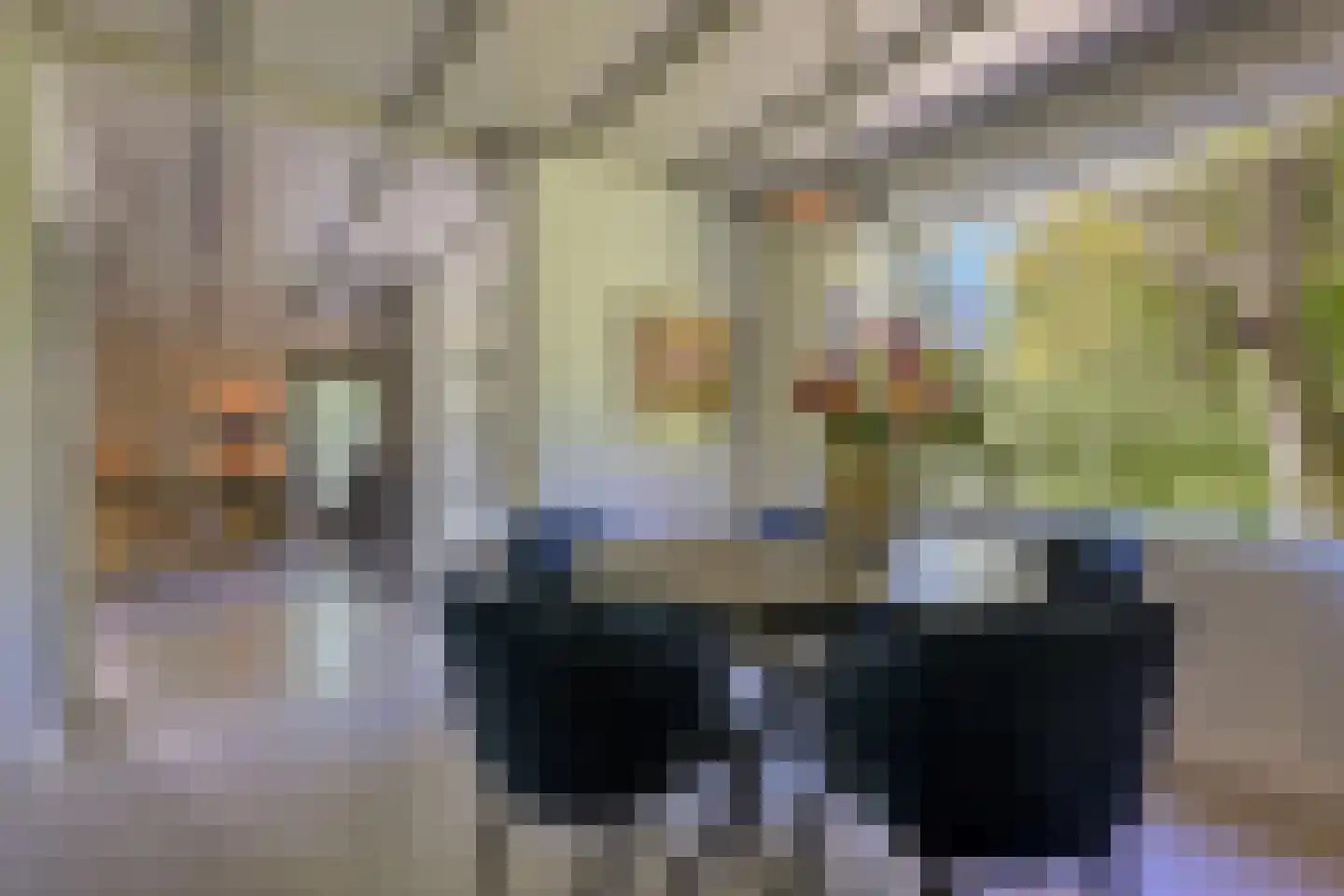 Waaldijk 46 Dreumel thumbnail 8