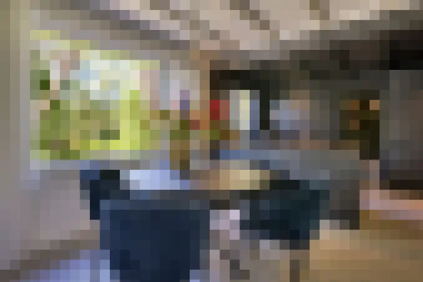 Waaldijk 46 Dreumel thumbnail 9