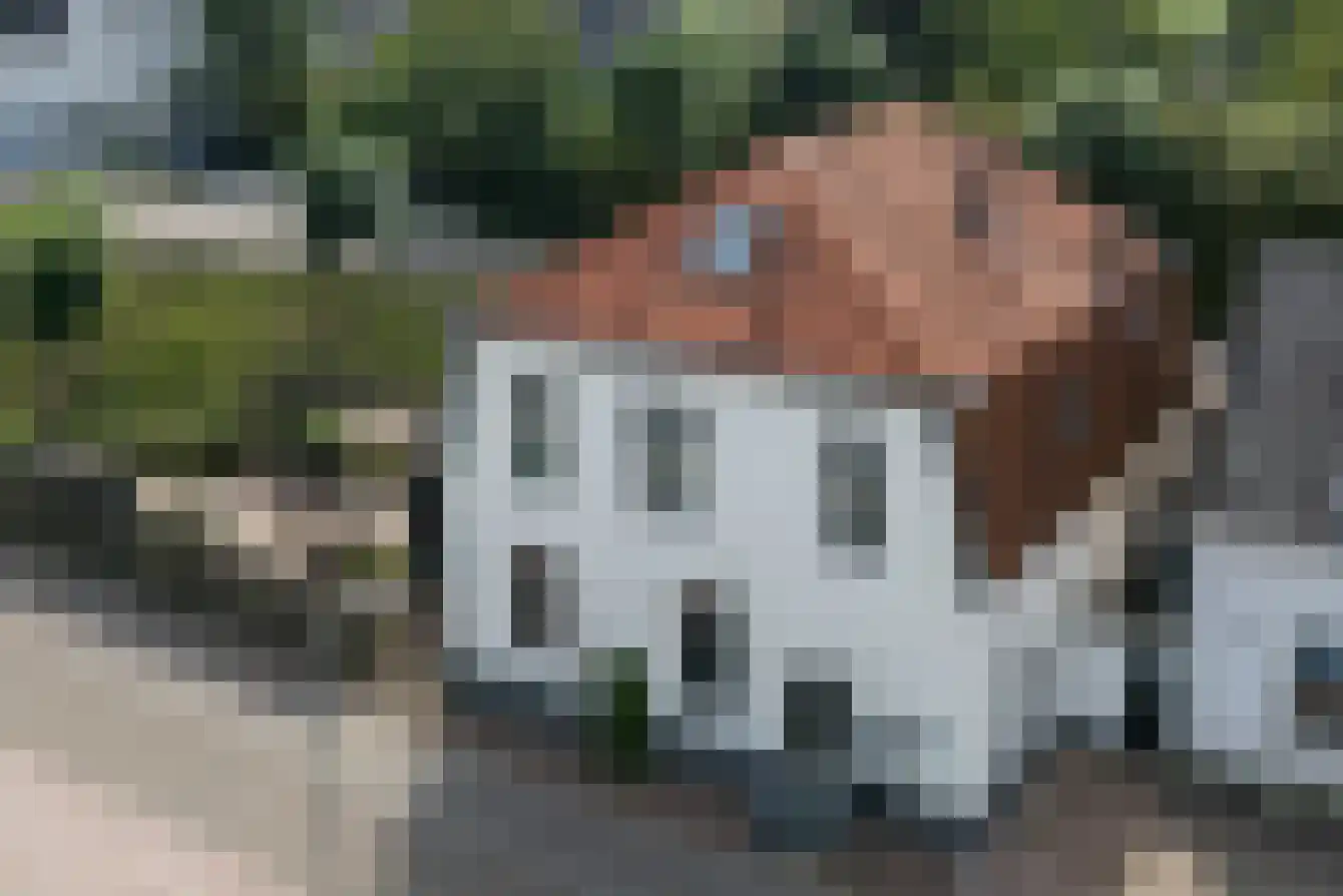 Waaldijk 55 dans Herwijnen