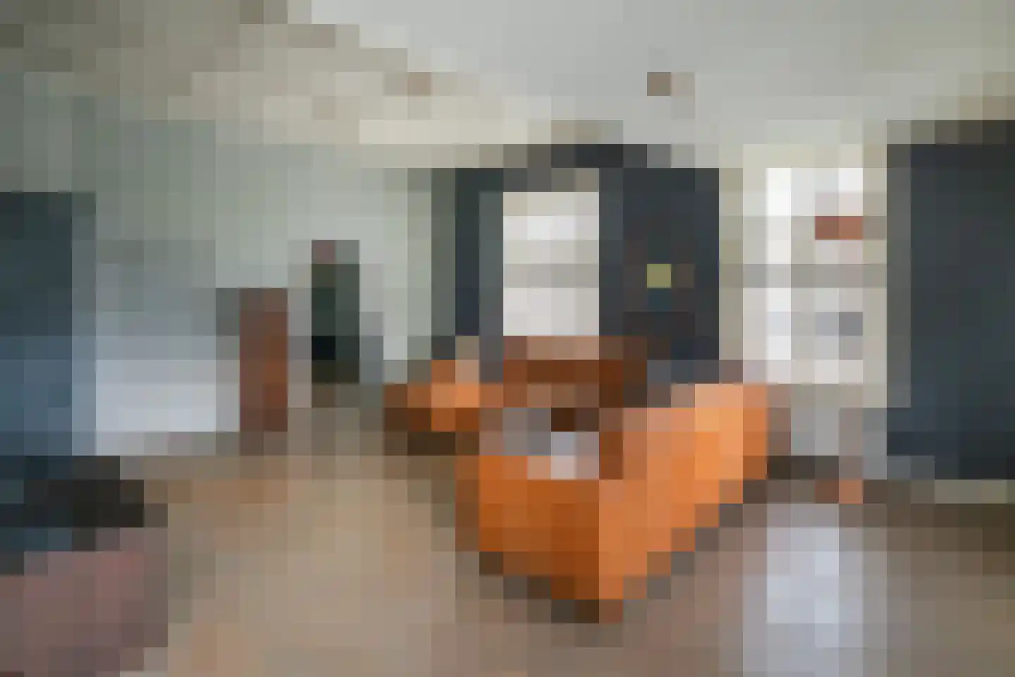 Waaldijk 55 Herwijnen thumbnail 15