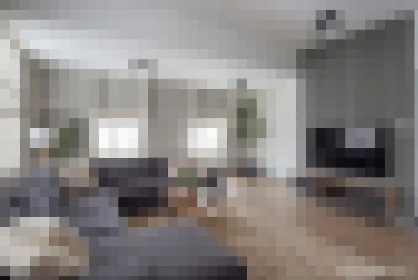 Waaldijk 55 Herwijnen thumbnail 18