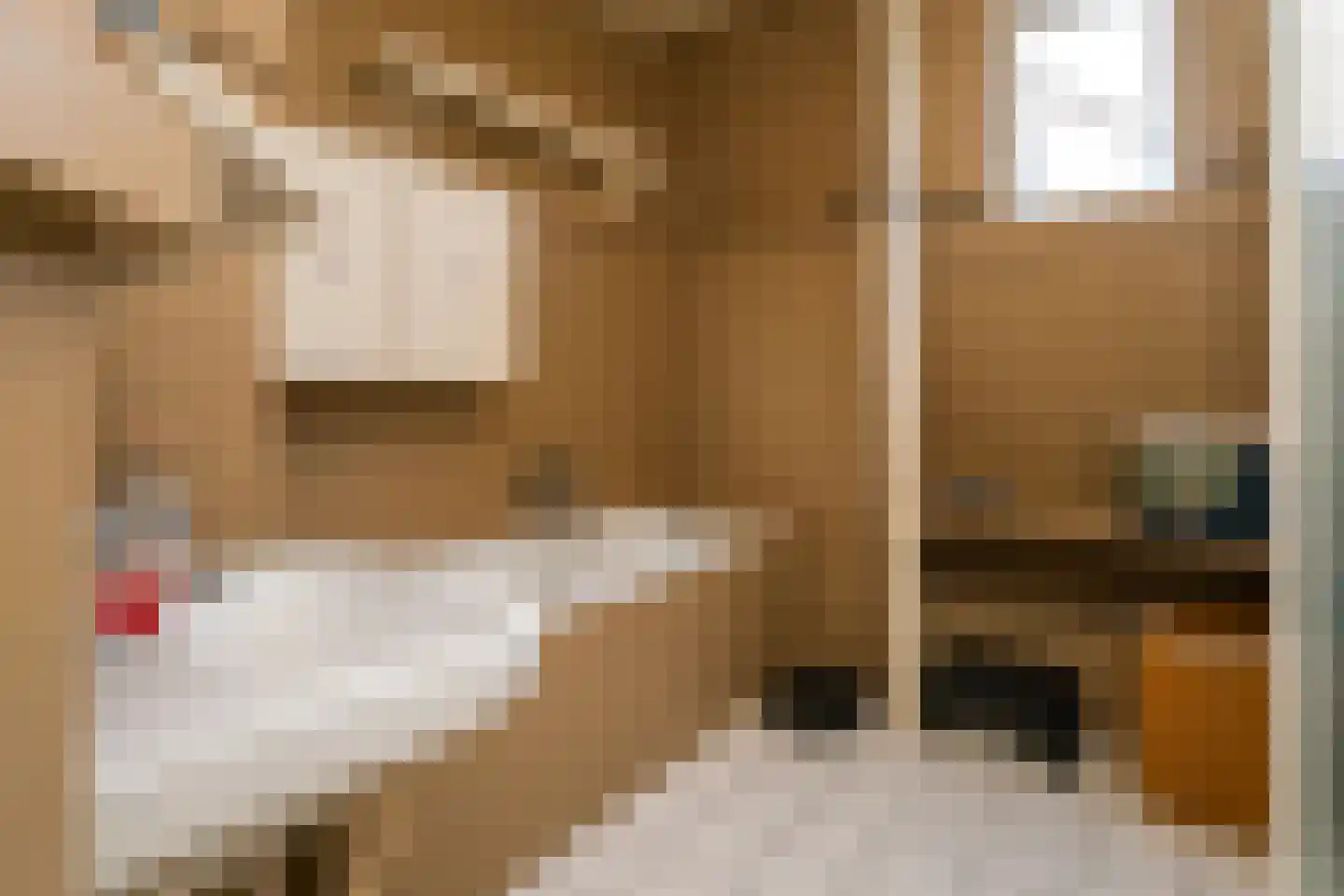 Waaldijk 55 Herwijnen thumbnail 21