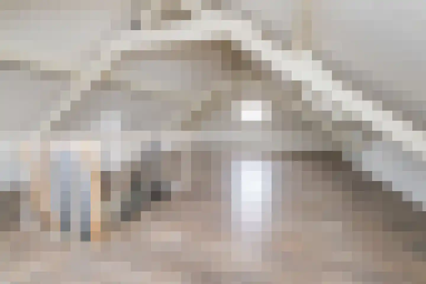 Waaldijk 55 Herwijnen thumbnail 24