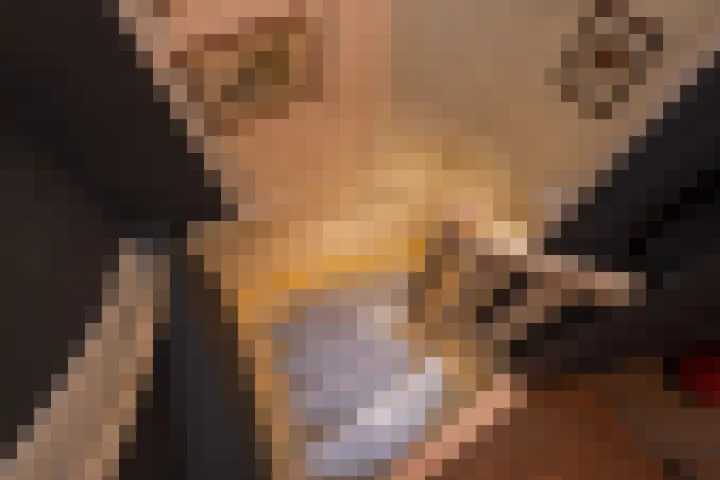 Waaldijk 55 Herwijnen thumbnail 26