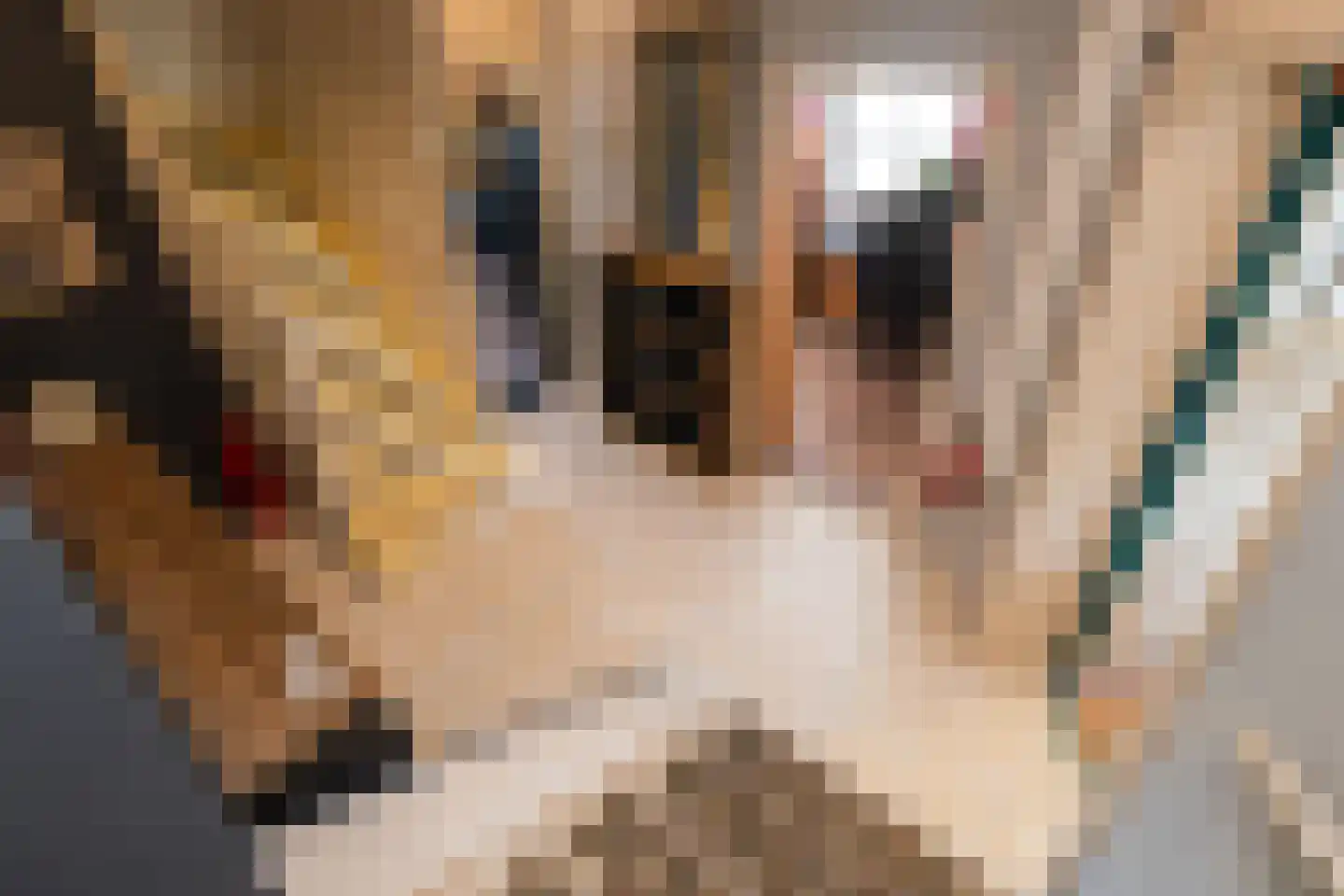 Waaldijk 55 Herwijnen thumbnail 27