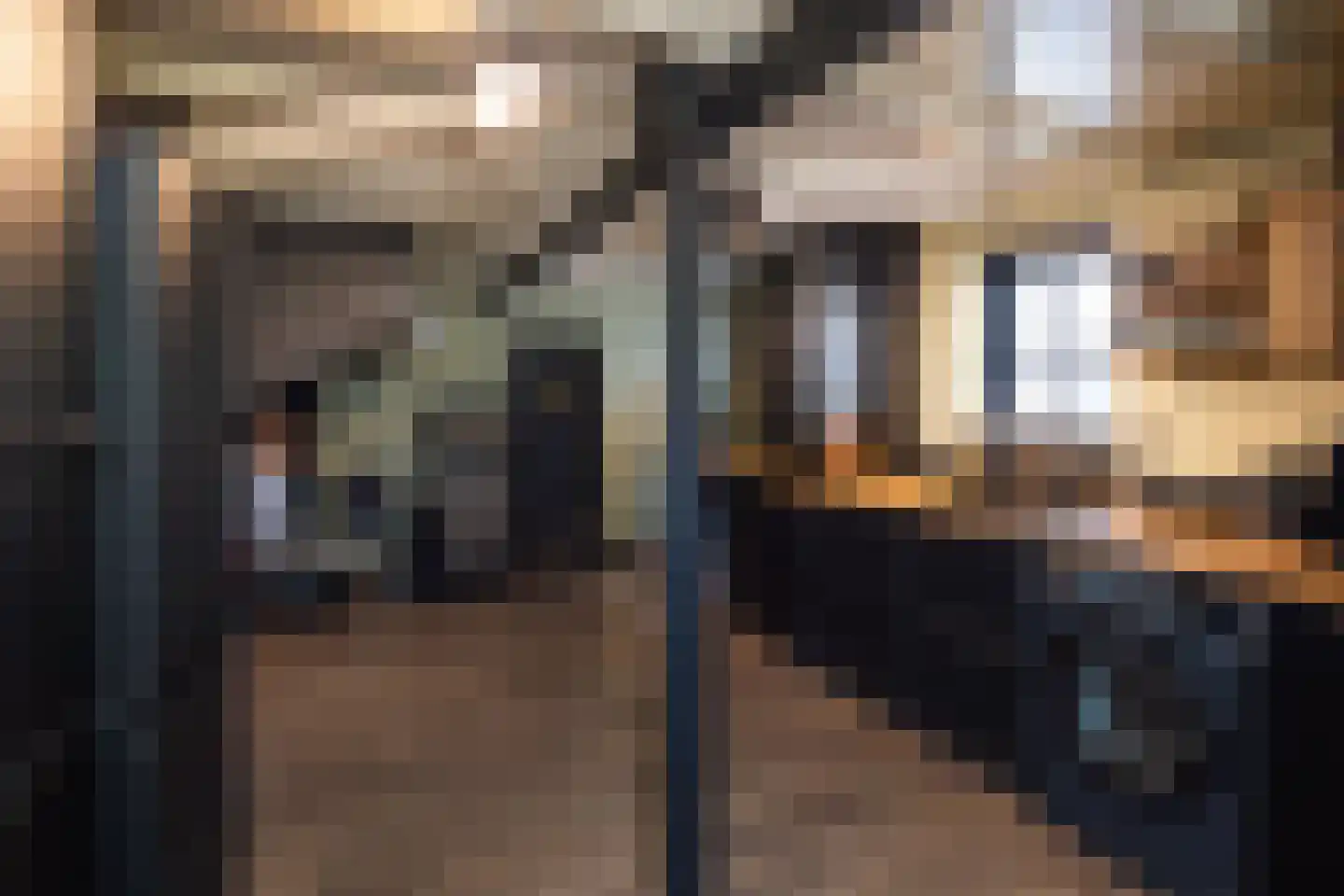 Waaldijk 55 Herwijnen thumbnail 30