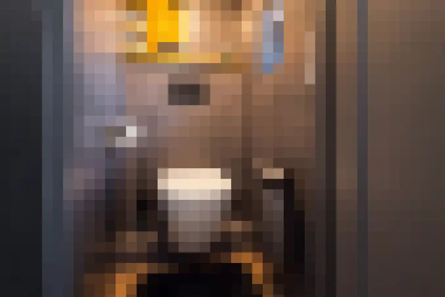 Waaldijk 55 Herwijnen thumbnail 31