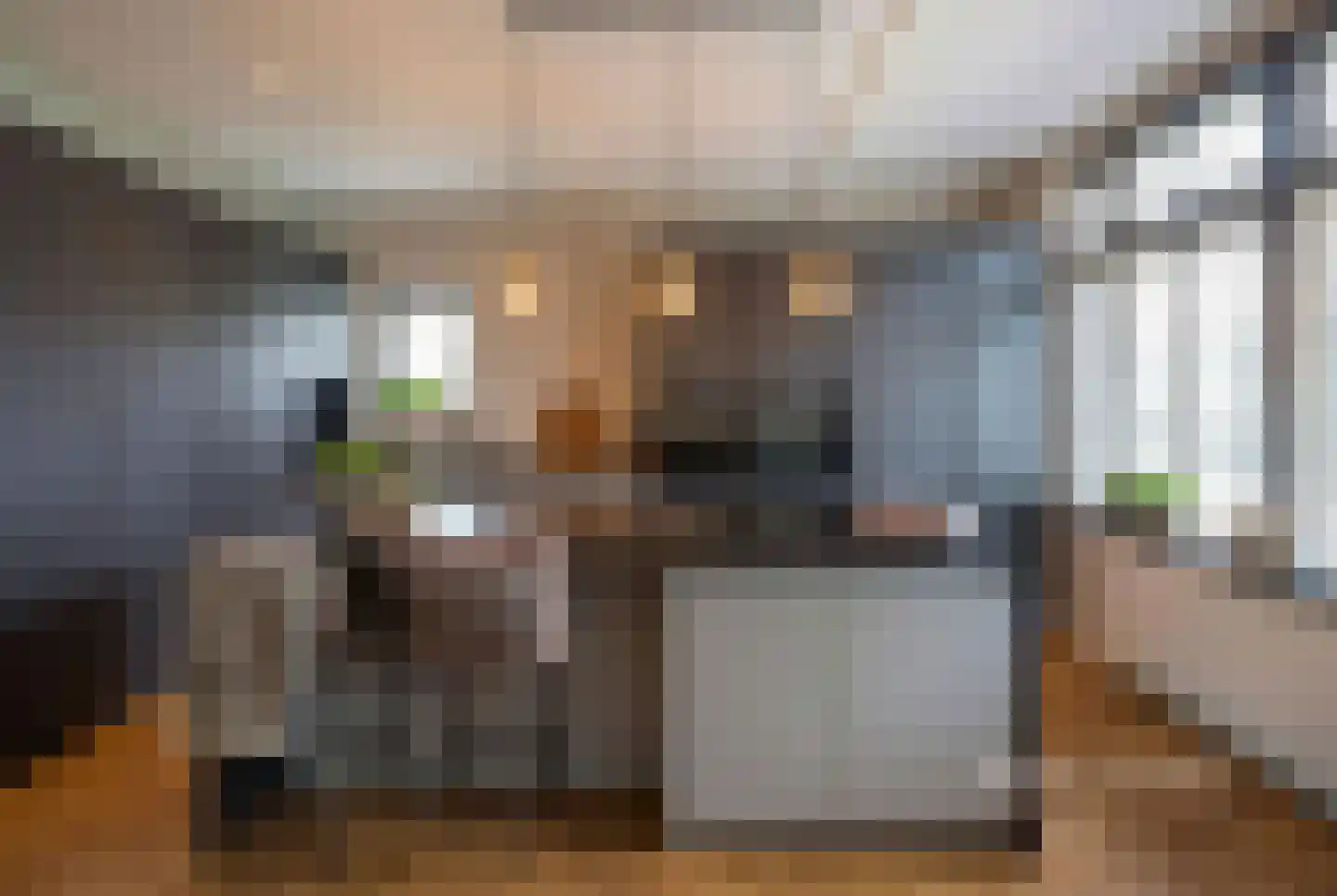 Waaldijk 55 Herwijnen thumbnail 4