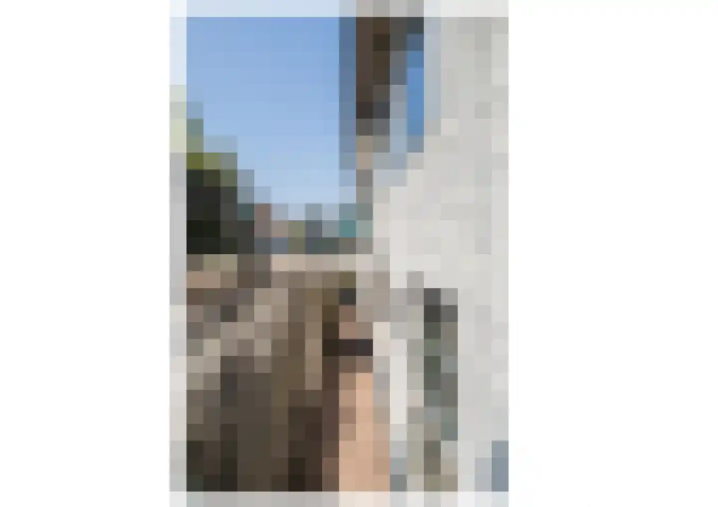 Waaldijk 55 Herwijnen thumbnail 48