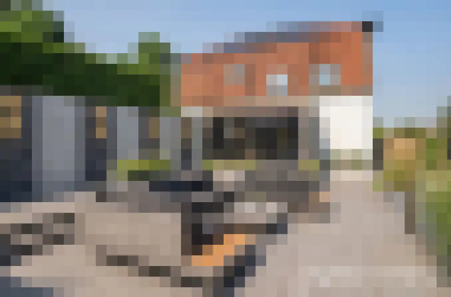 Waaldijk 55 Herwijnen thumbnail 51