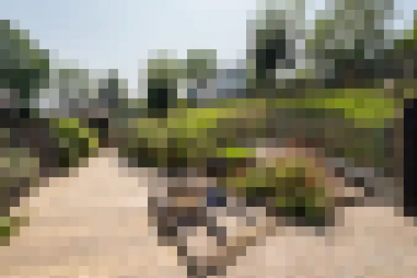 Waaldijk 55 Herwijnen thumbnail 55