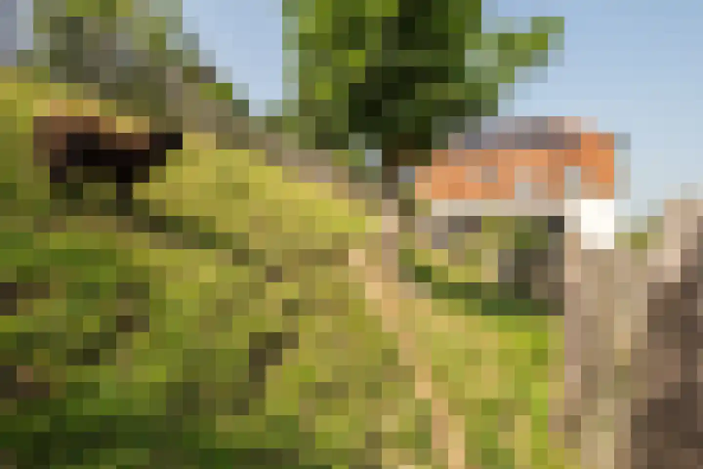 Waaldijk 55 Herwijnen thumbnail 56