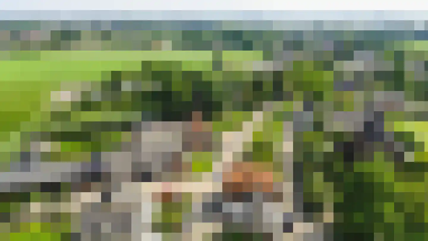 Waaldijk 55 Herwijnen thumbnail 62