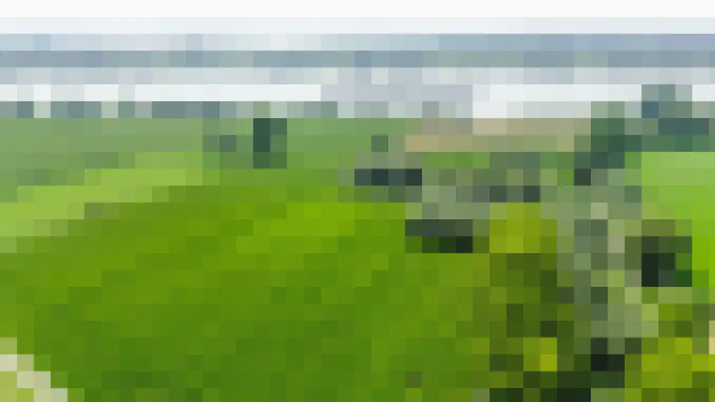 Waaldijk 55 Herwijnen thumbnail 63