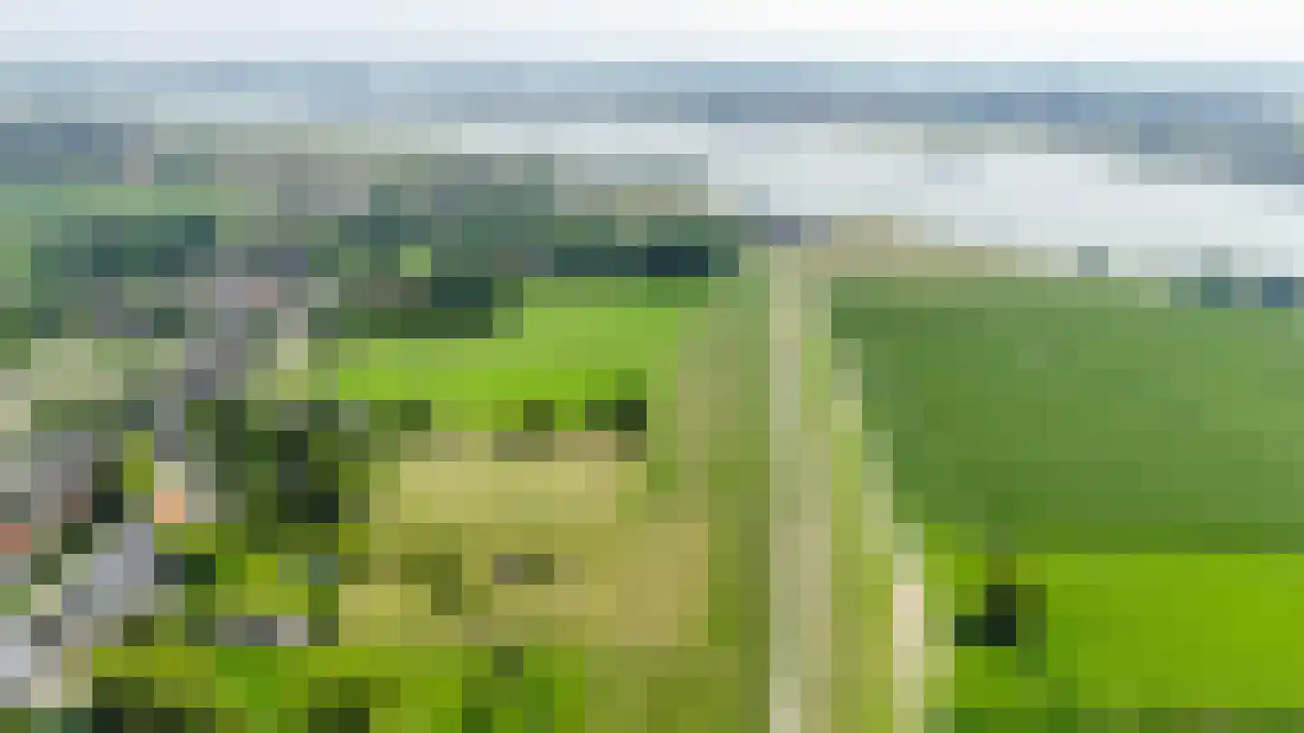 Waaldijk 55 Herwijnen thumbnail 64