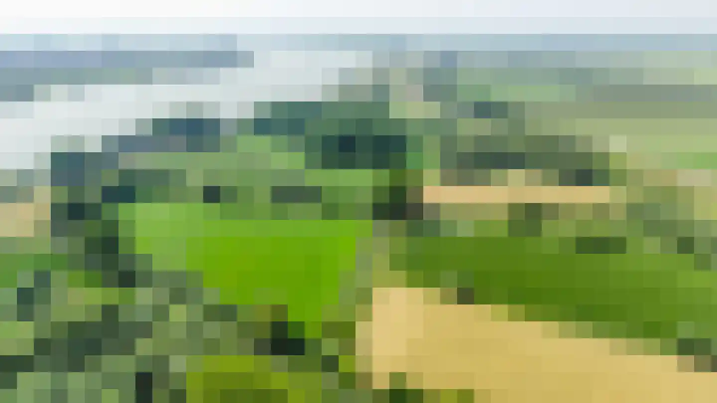 Waaldijk 55 Herwijnen thumbnail 65