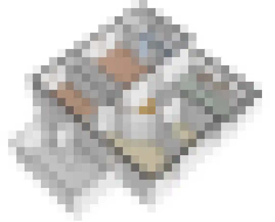 Waaldijk 55 Herwijnen thumbnail 67