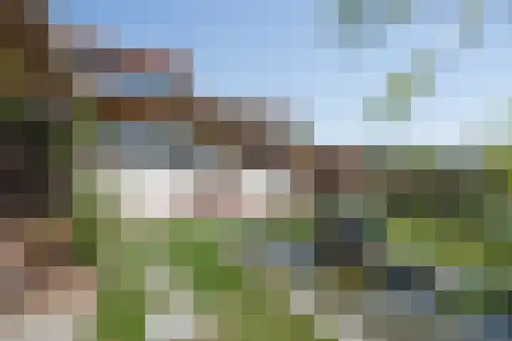 Waaldijk 69 Vuren thumbnail 17