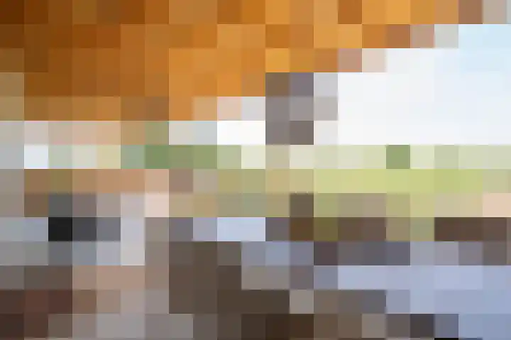 Waaldijk 69 Vuren thumbnail 18