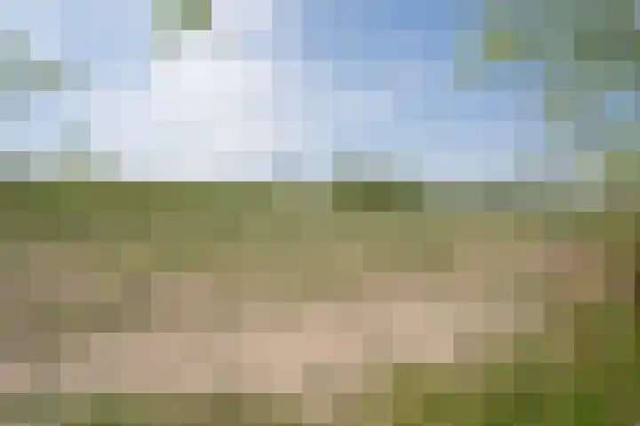 Waaldijk 69 Vuren thumbnail 19