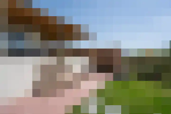 Waaldijk 69 Vuren thumbnail 22