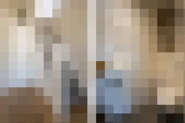 Waaldijk 69 Vuren thumbnail 7