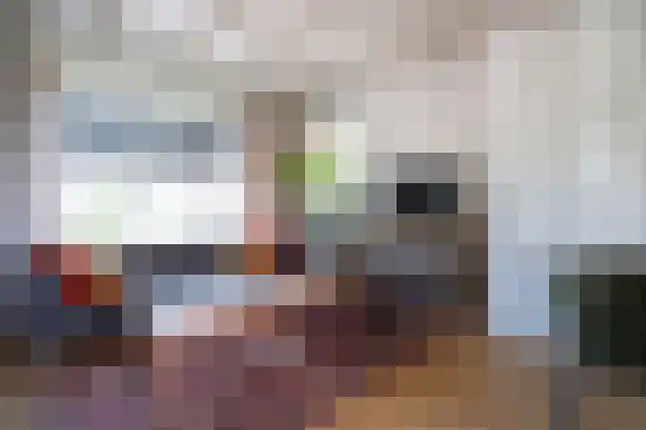 Waaldijk 69 Vuren thumbnail 8