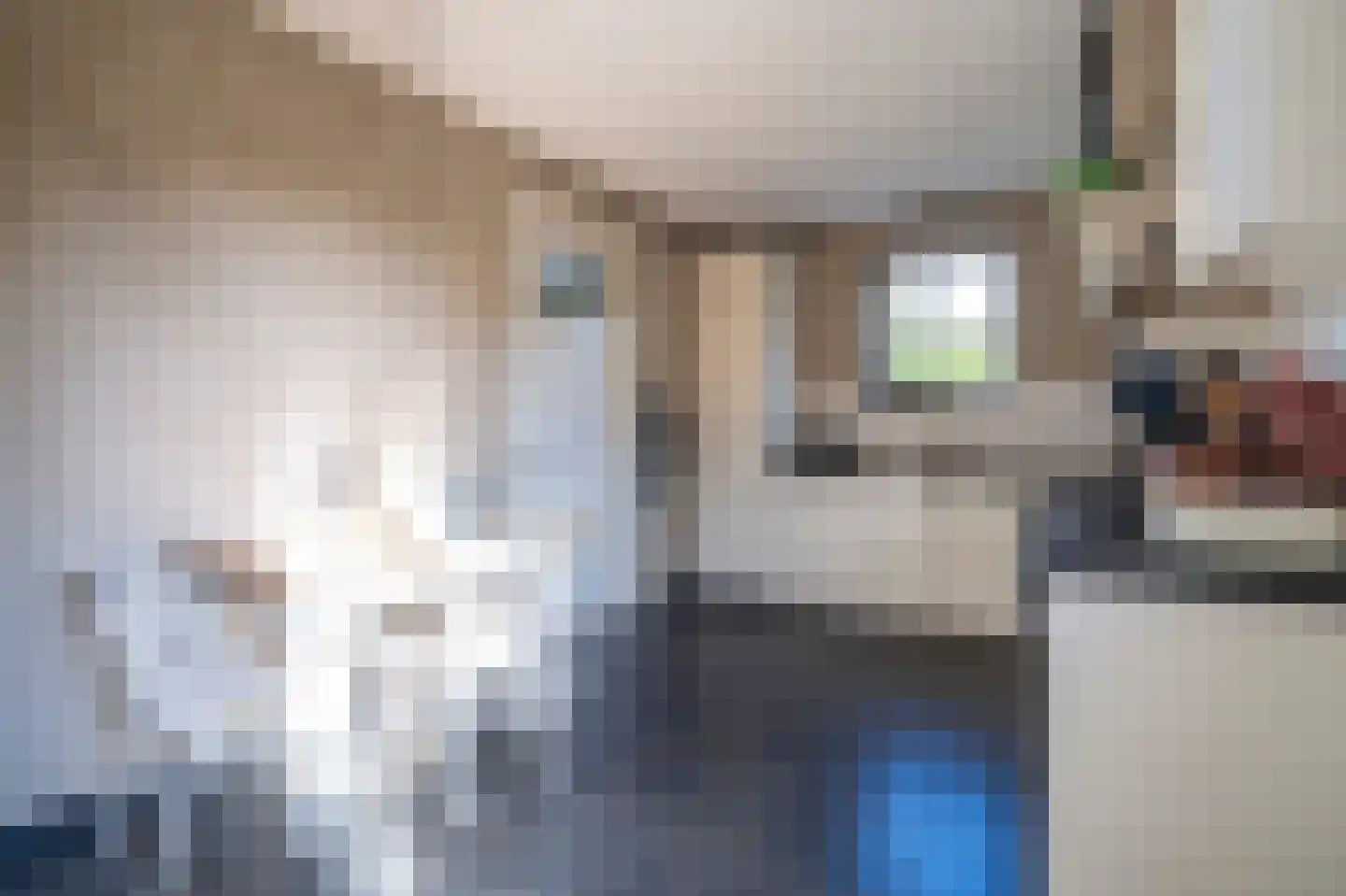 Waaldijk 7 Herwijnen thumbnail 12