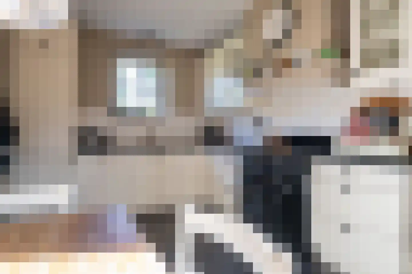 Waaldijk 7 Herwijnen thumbnail 13