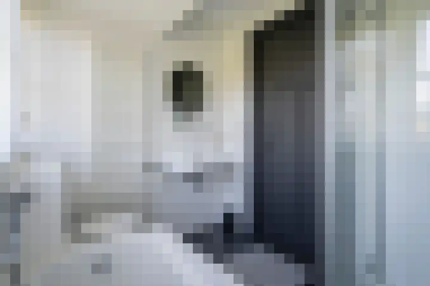 Waaldijk 7 Herwijnen thumbnail 23