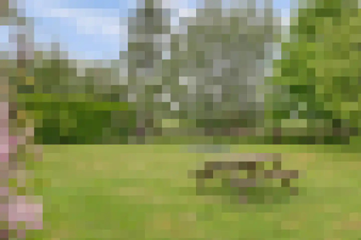 Waaldijk 7 Herwijnen thumbnail 29
