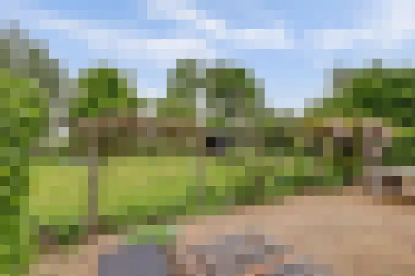 Waaldijk 7 Herwijnen thumbnail 30