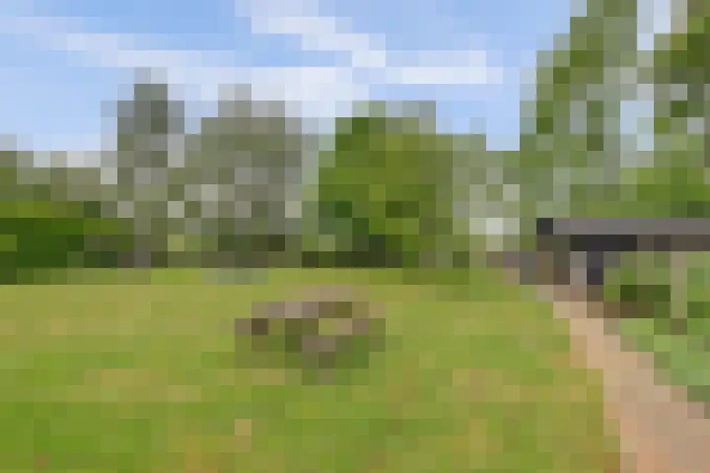 Waaldijk 7 Herwijnen thumbnail 31