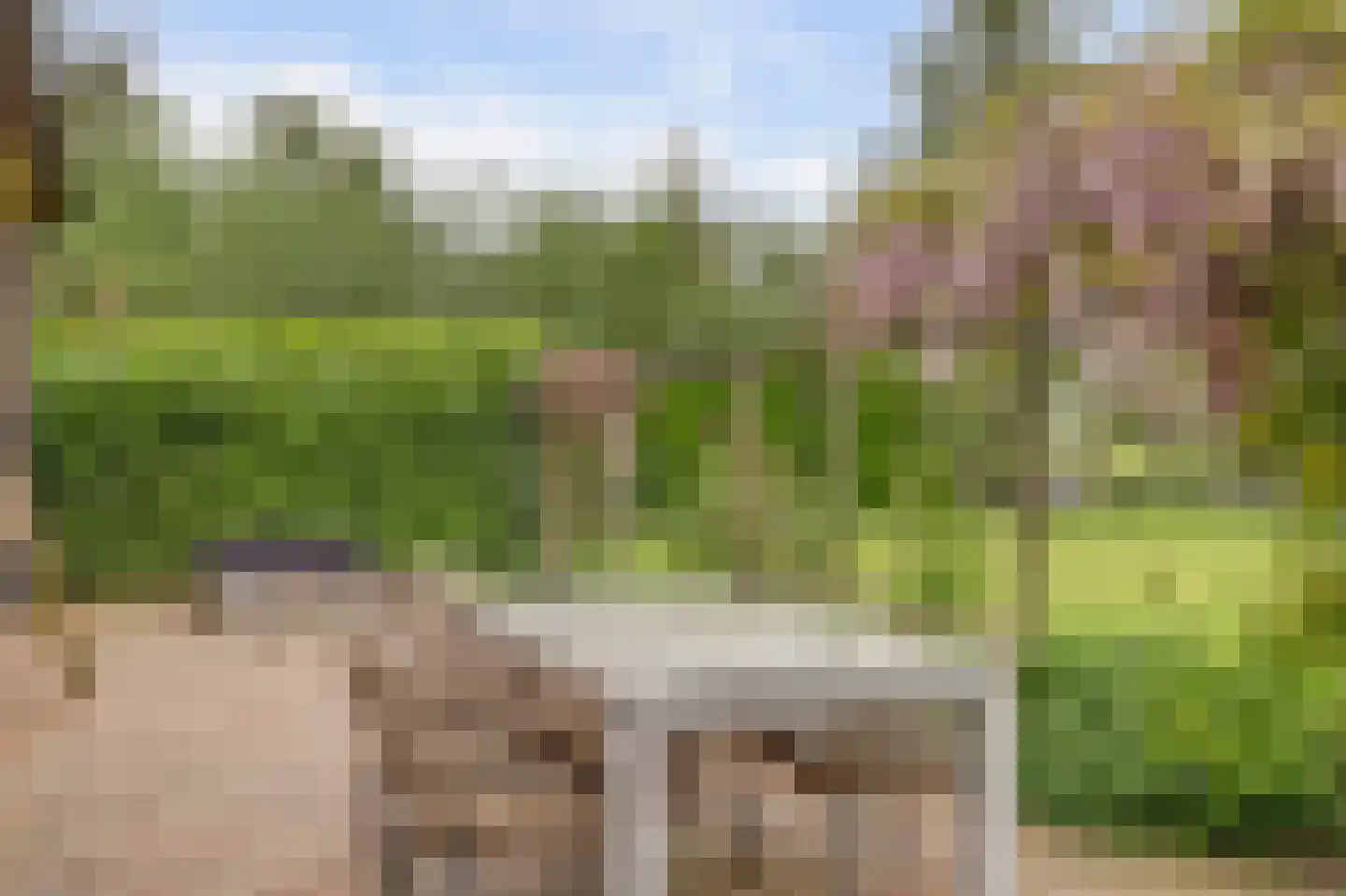 Waaldijk 7 Herwijnen thumbnail 34