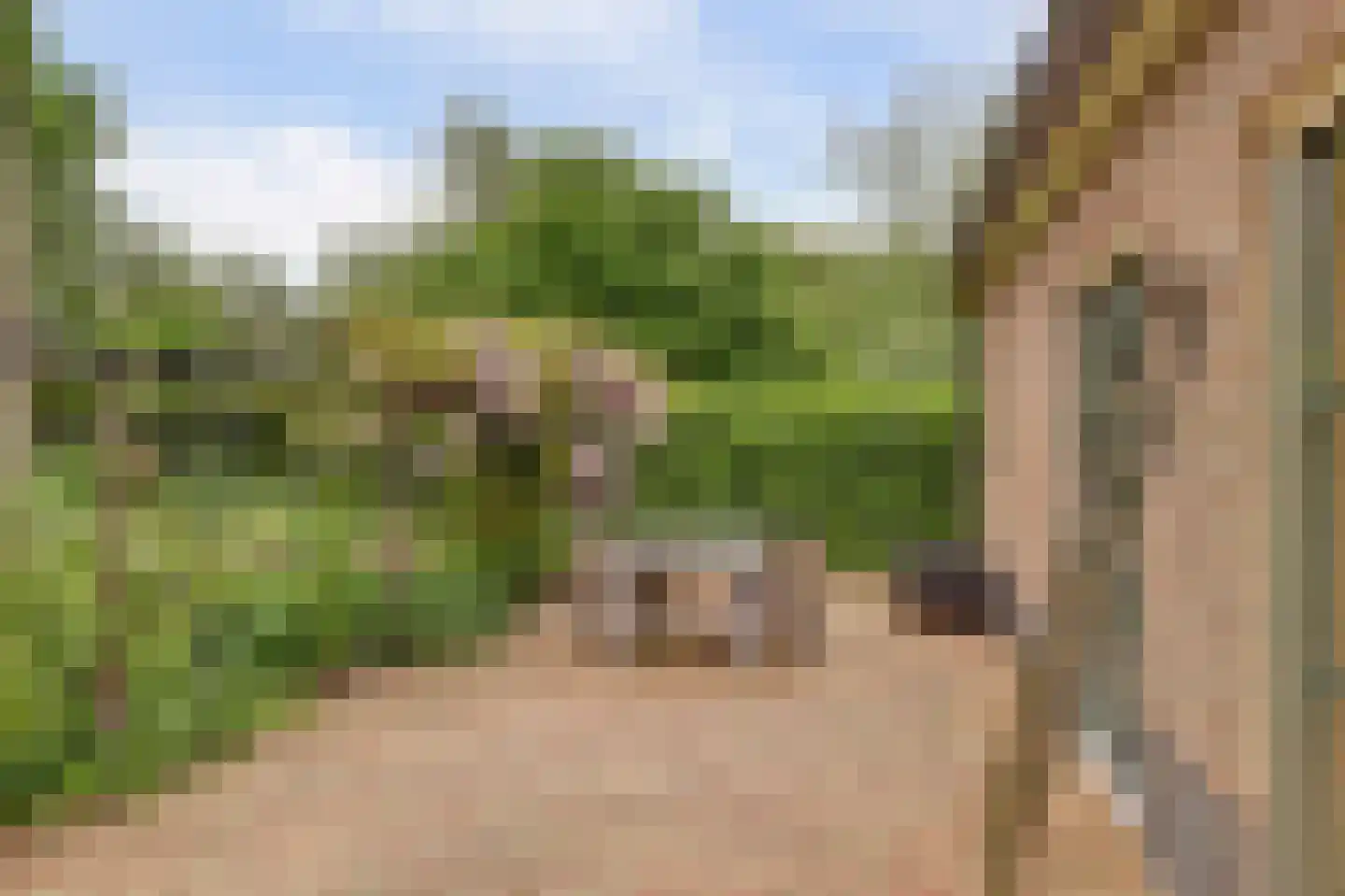 Waaldijk 7 Herwijnen thumbnail 35