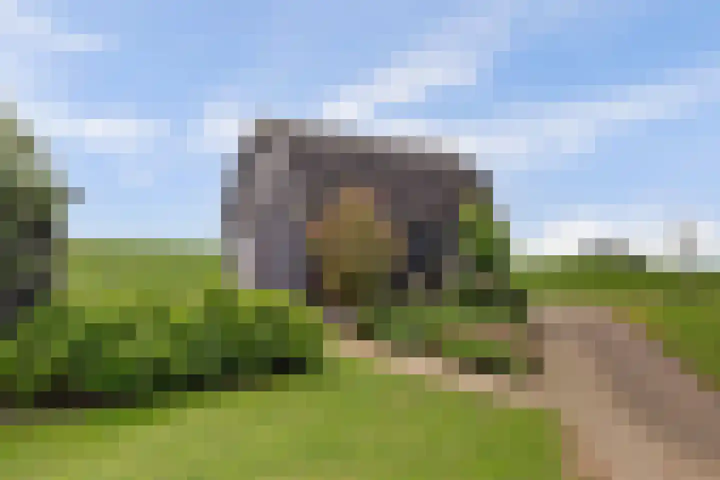 Waaldijk 7 Herwijnen thumbnail 41