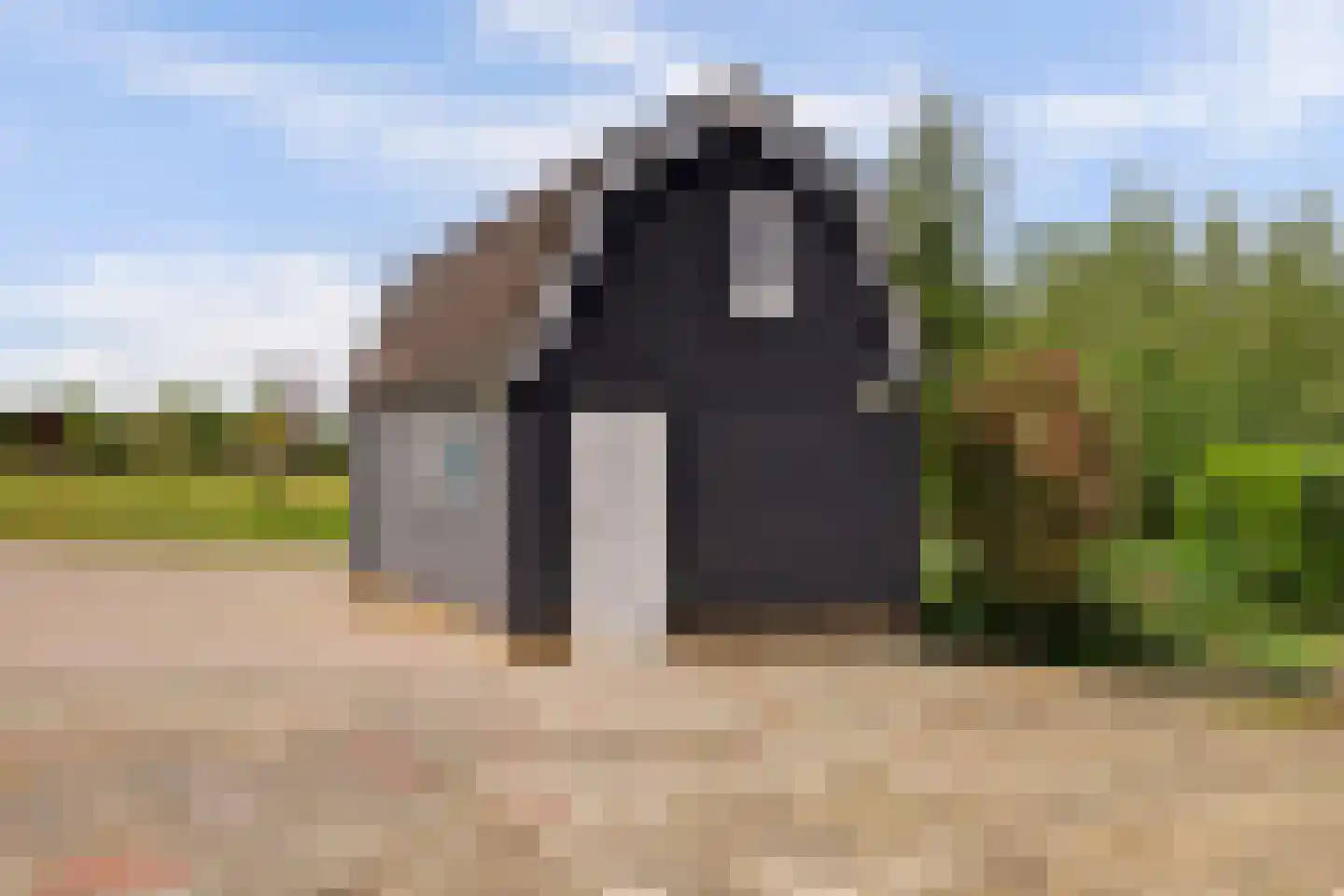 Waaldijk 7 Herwijnen thumbnail 42