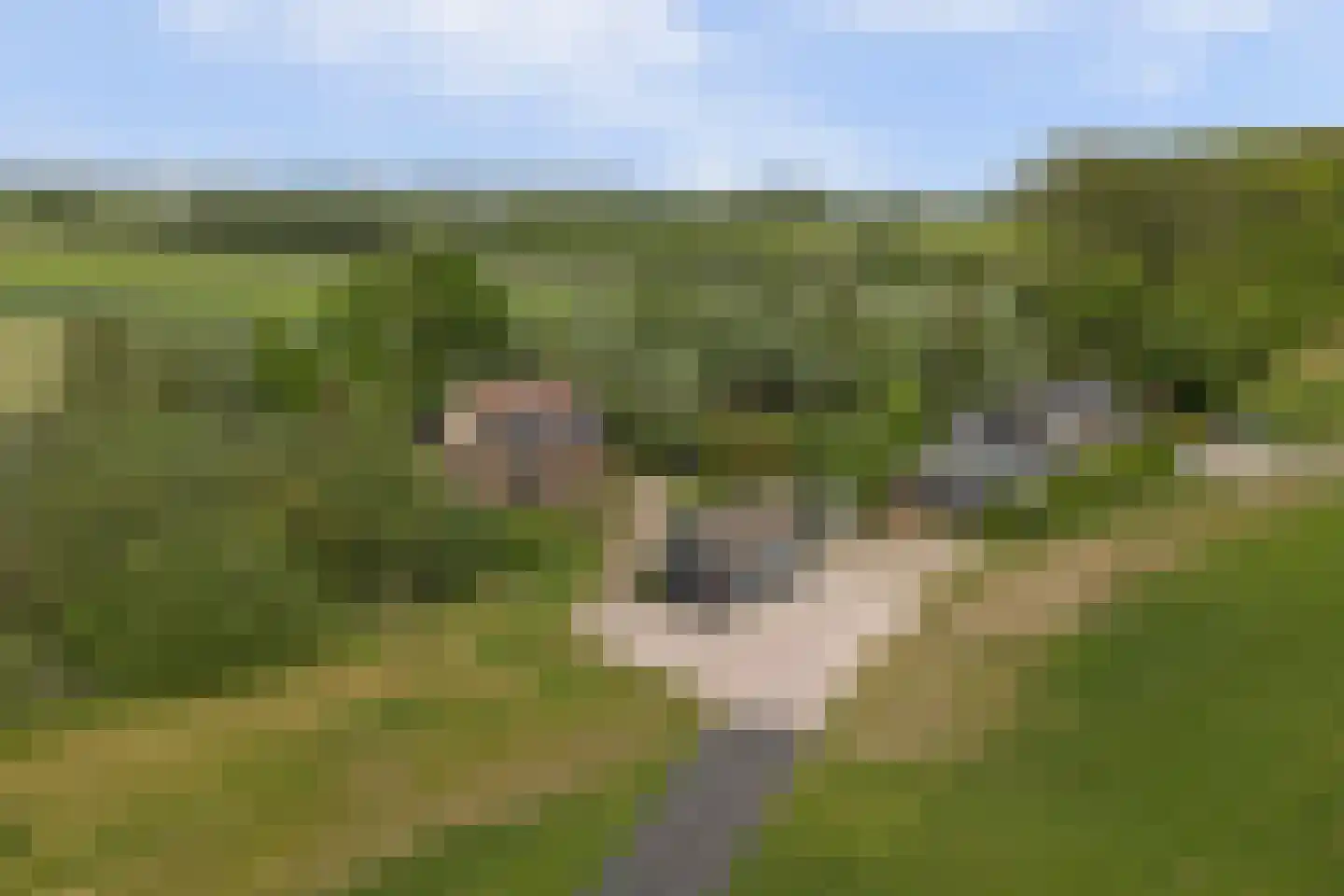 Waaldijk 7 Herwijnen thumbnail 47