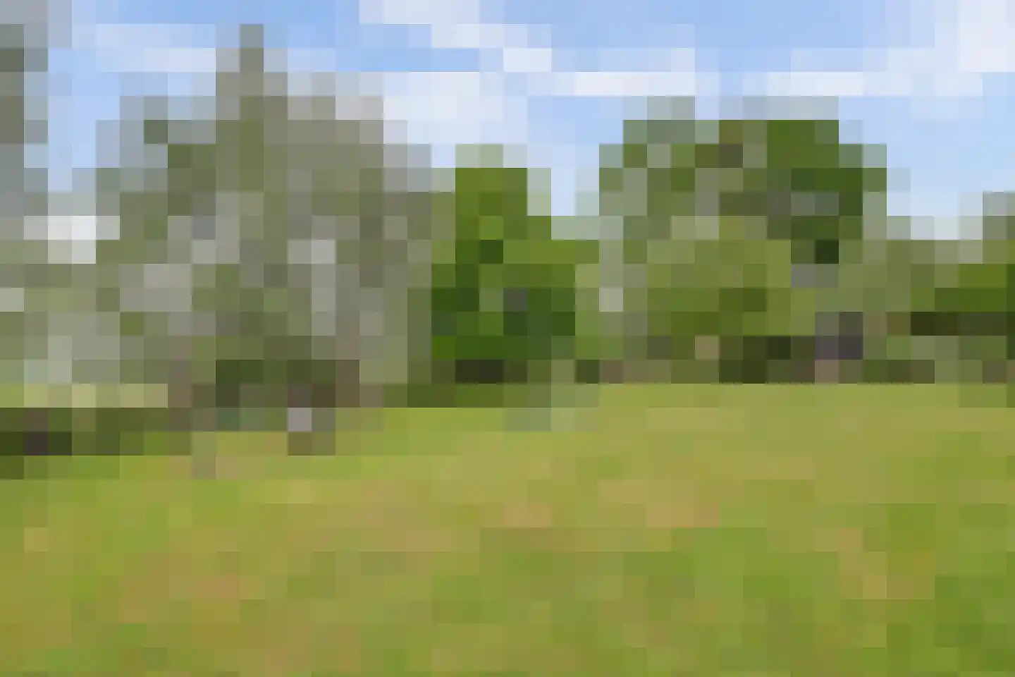 Waaldijk 7 Herwijnen thumbnail 5