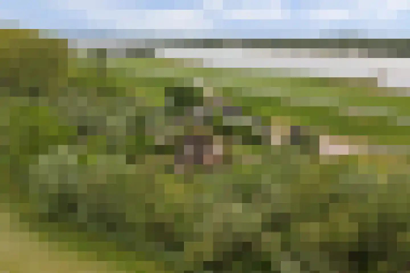 Waaldijk 7 Herwijnen thumbnail 52
